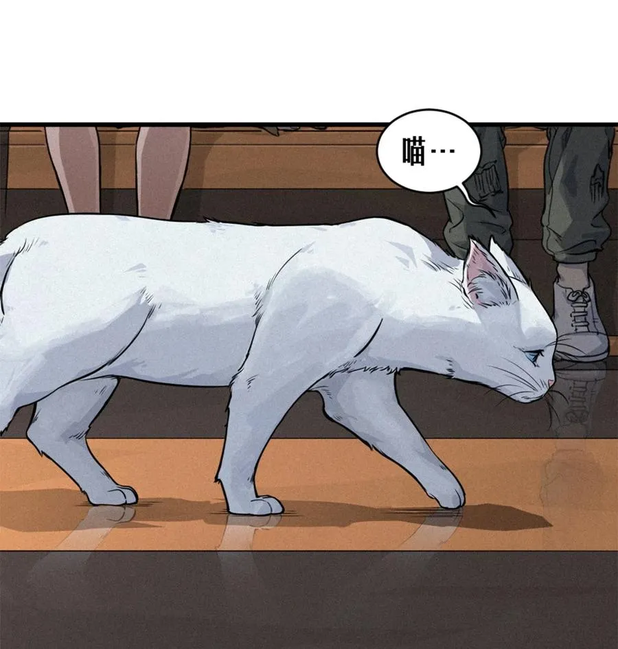 29话 护猫使者（上）26