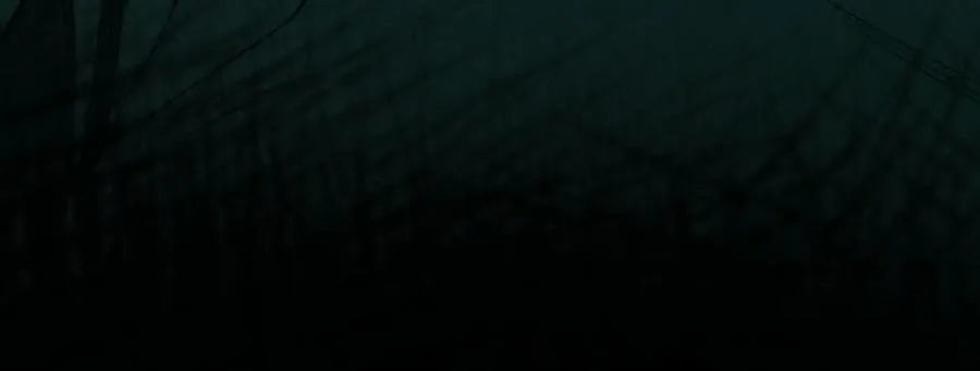 第45章 新的心脏45