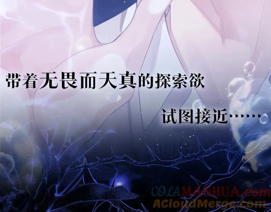 序章 他带着人鱼走来了10
