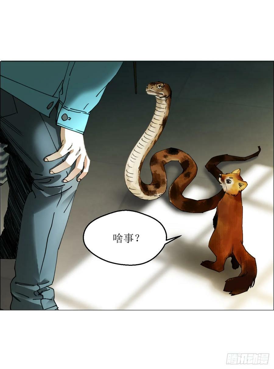 29 蝴蝶效应4