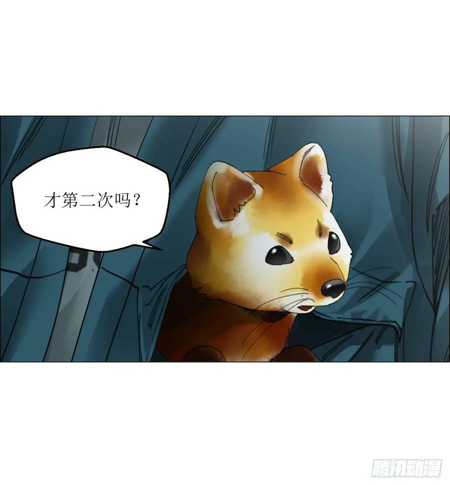 29 蝴蝶效应40