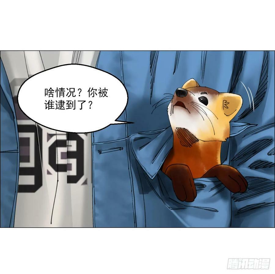 30 拜码头5