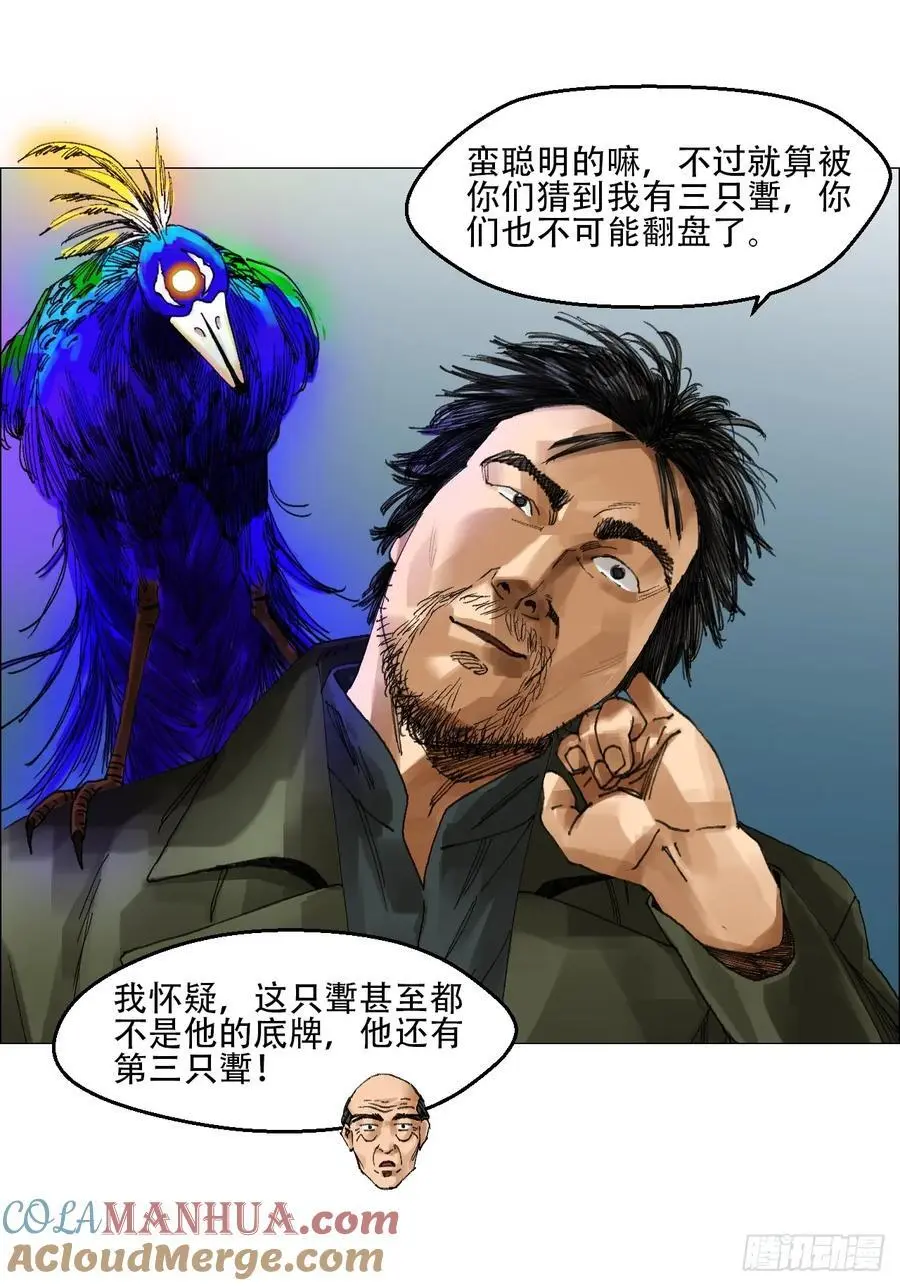 49 不止一只????14