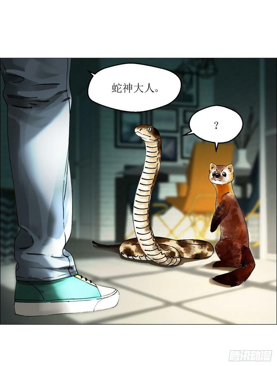 27 分工和调查28