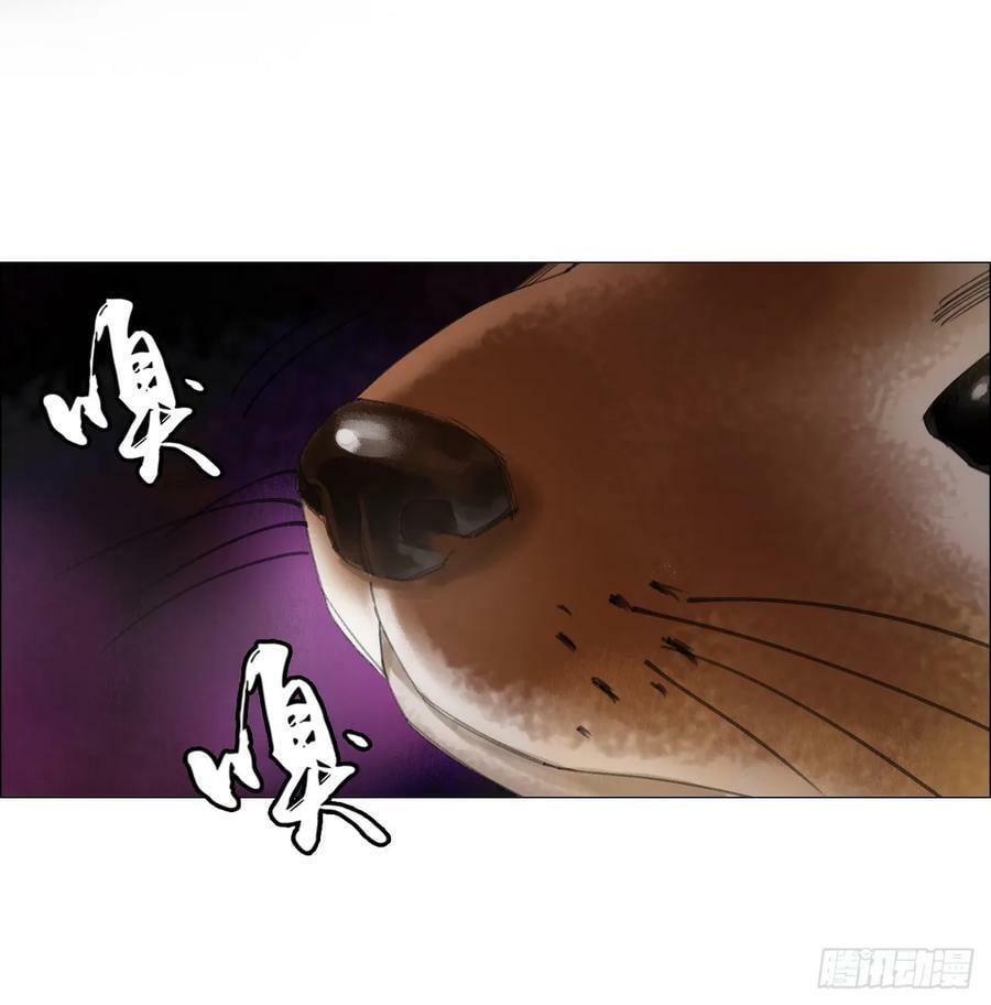 29 蝴蝶效应7