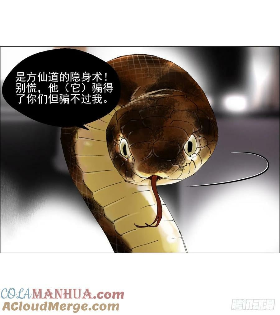 29 蝴蝶效应9
