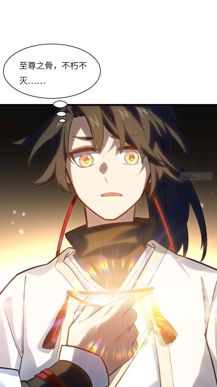 17.至尊54