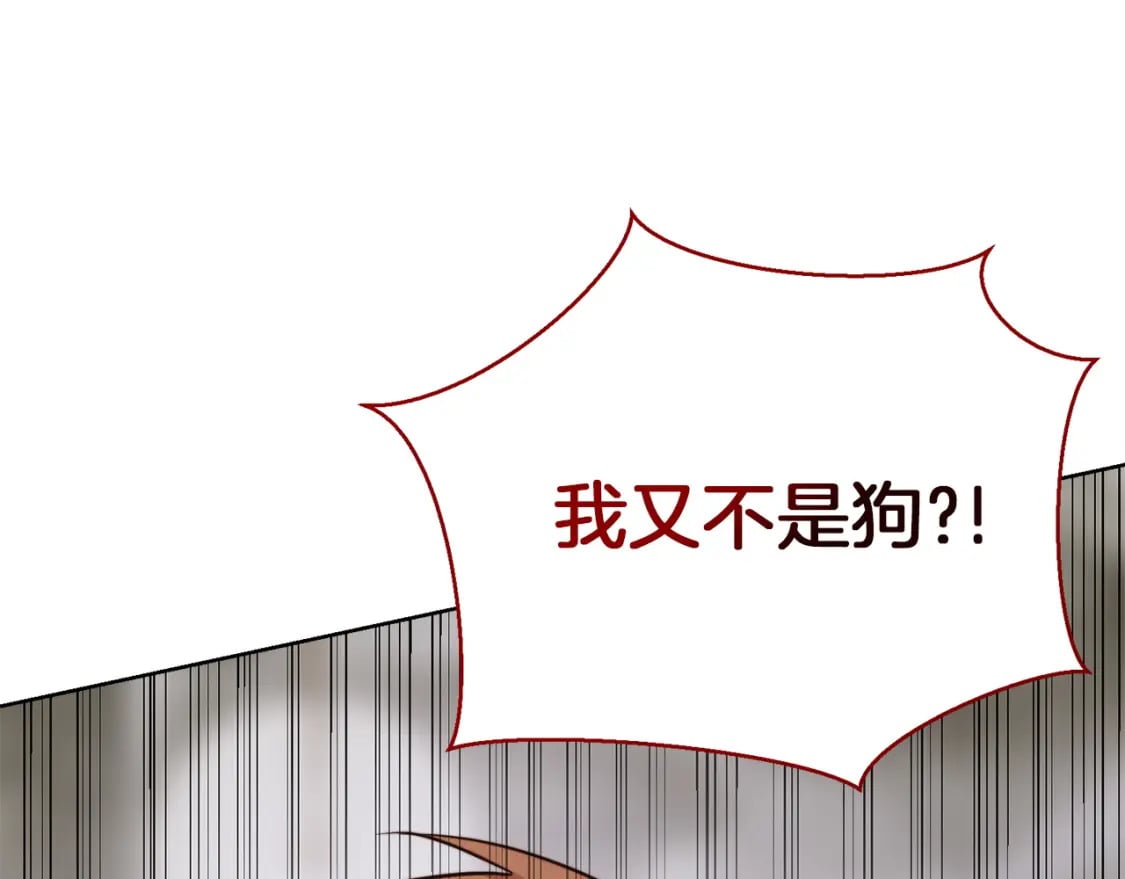 第40话 撒酒疯啦141