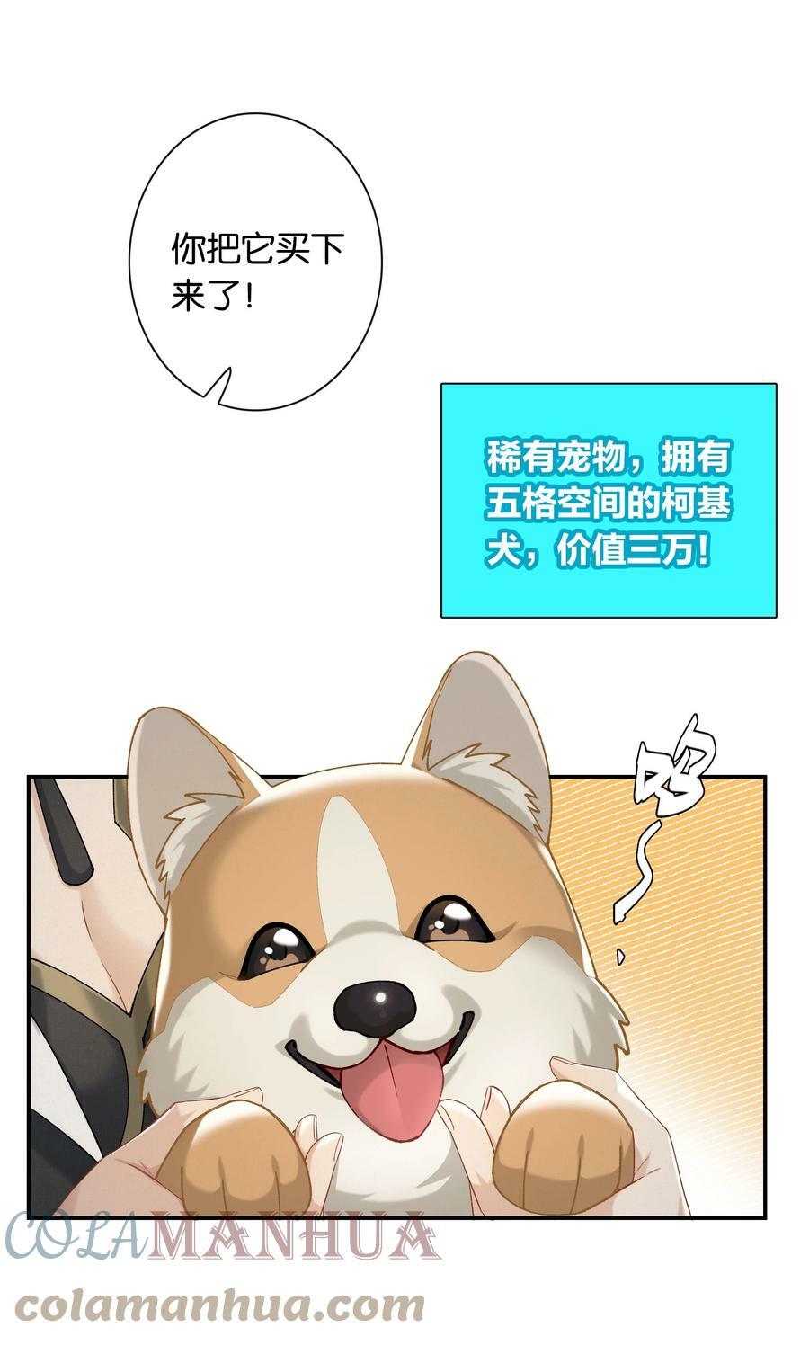 第049话 宠物开开10