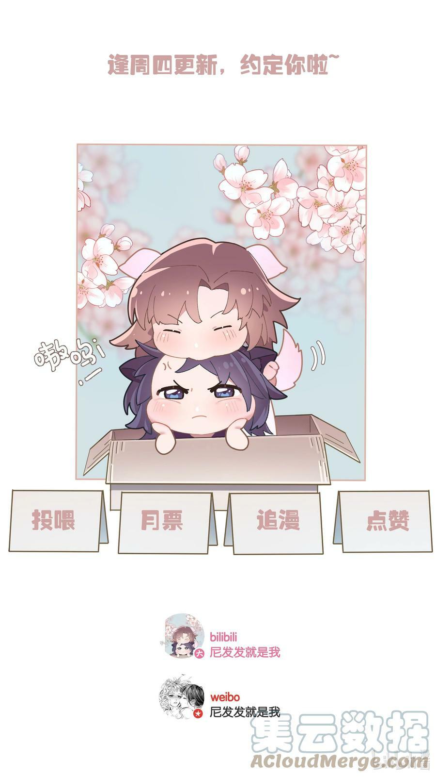 第050话 完美蜜月40