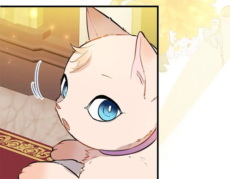 第70话 解除婚姻105