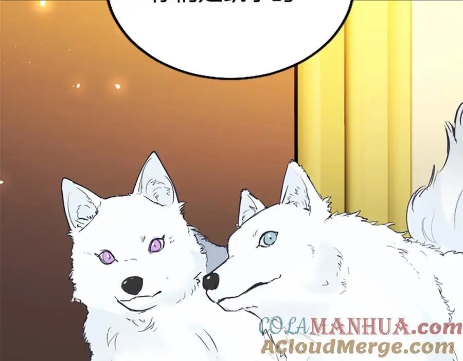 第71话 和我结婚吧16