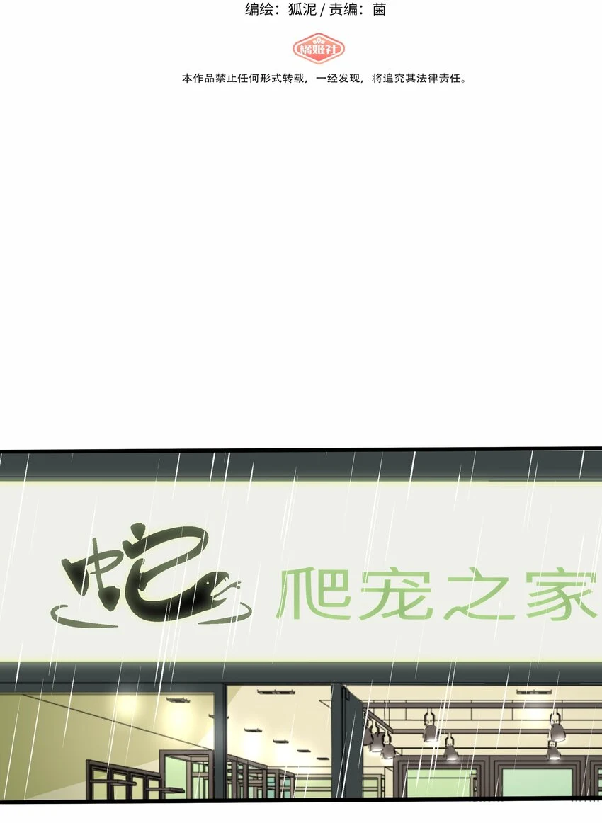 028 后盾1