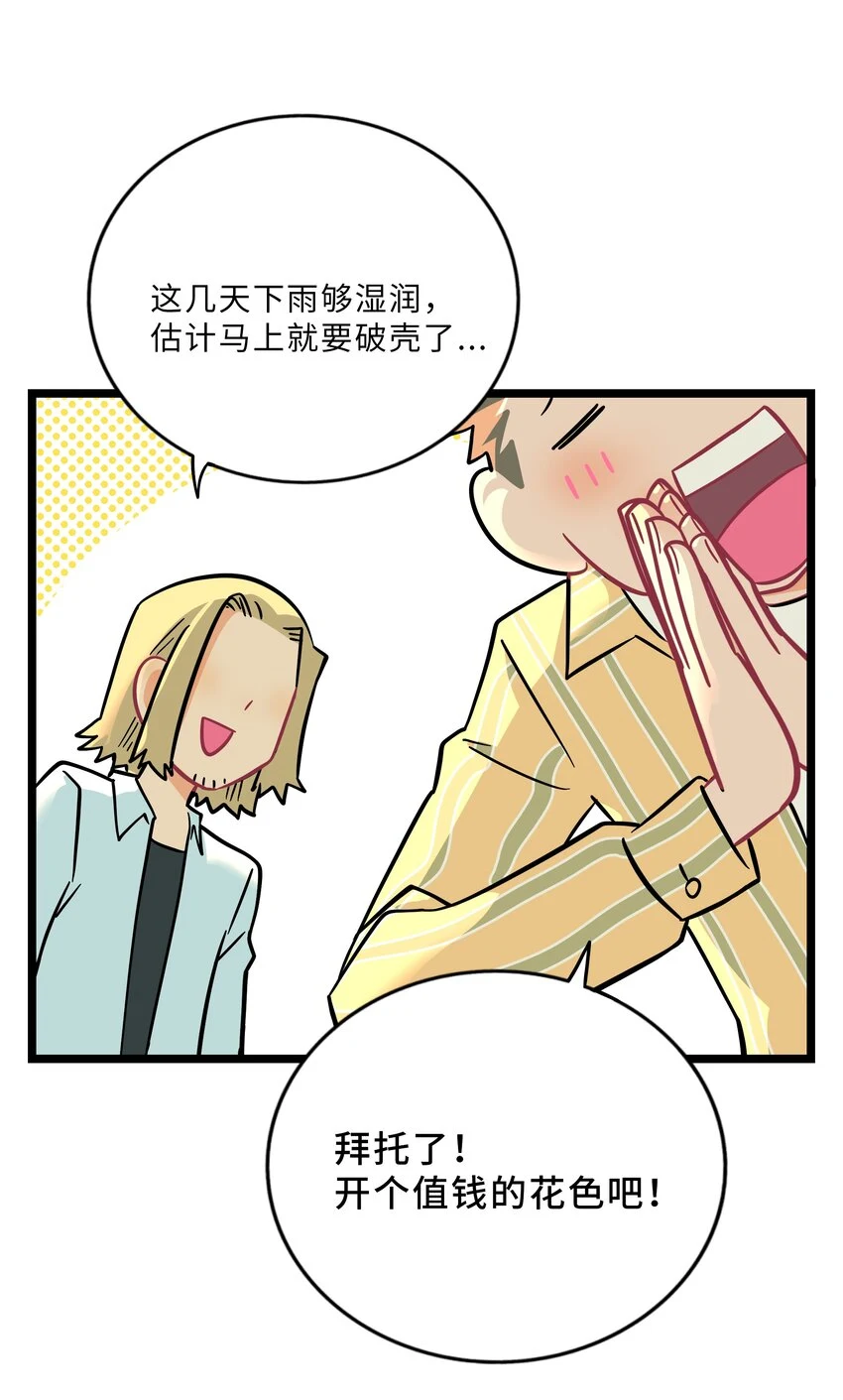 028 后盾6