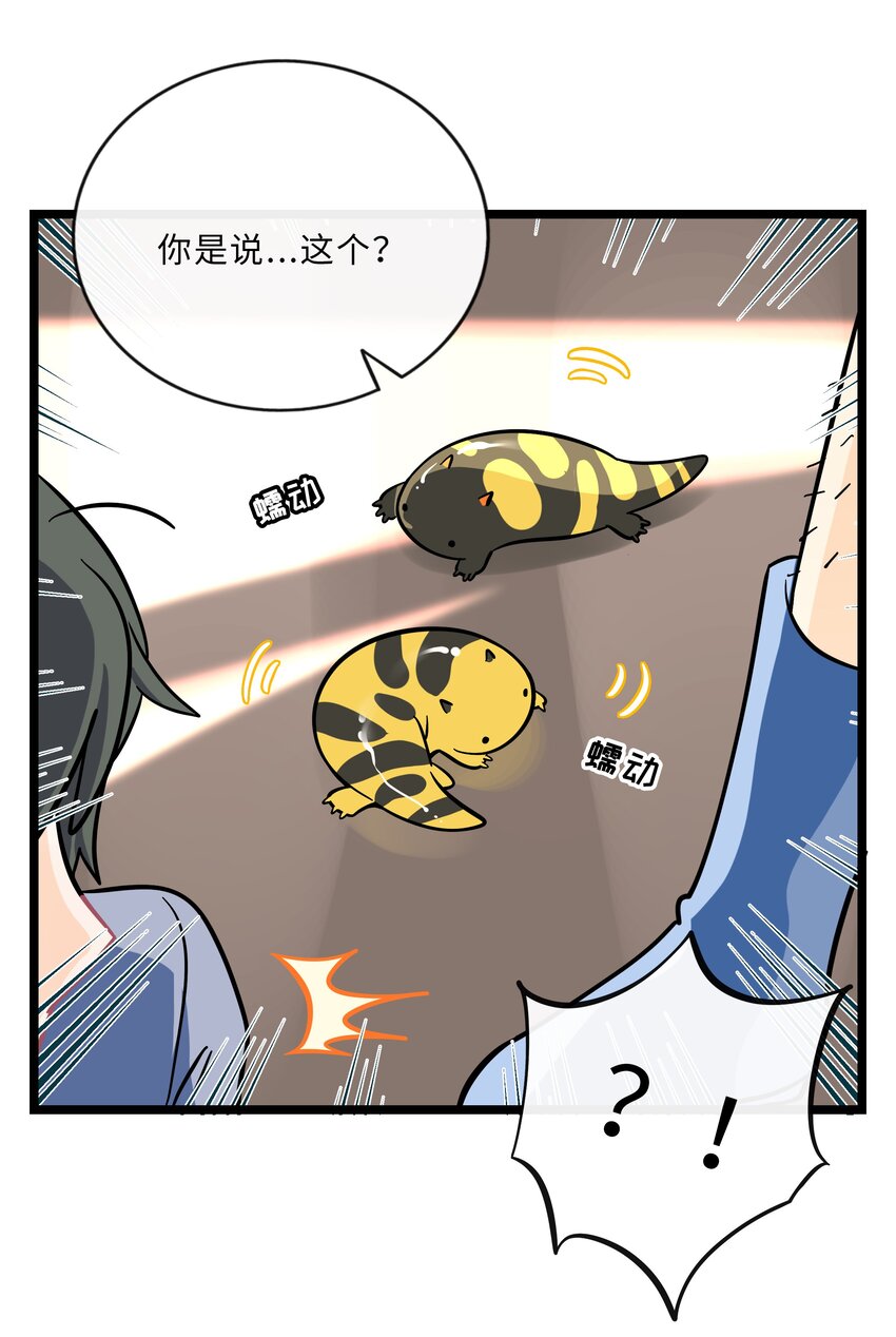 021 暗中保护33