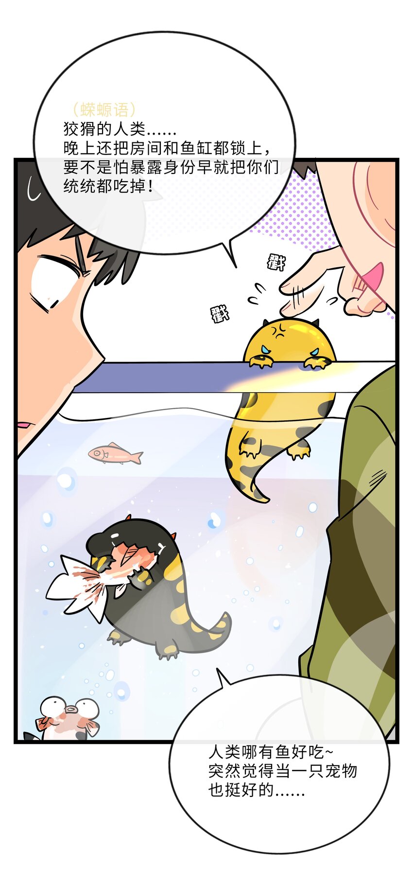 022 蝾螈的报恩17