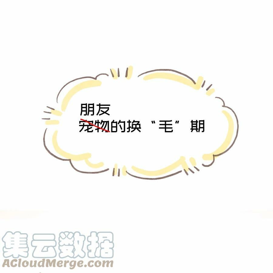 037 抱抱我吧～（附加联动福利）48
