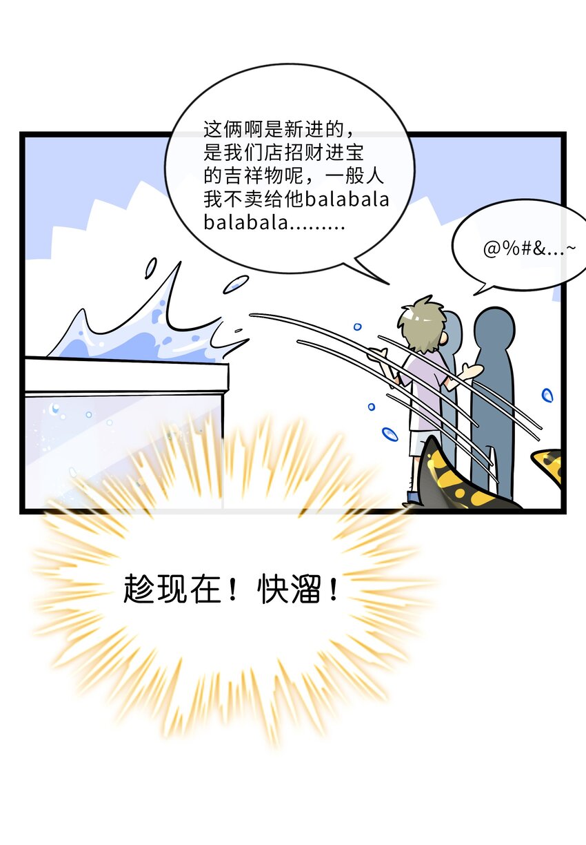 022 蝾螈的报恩21