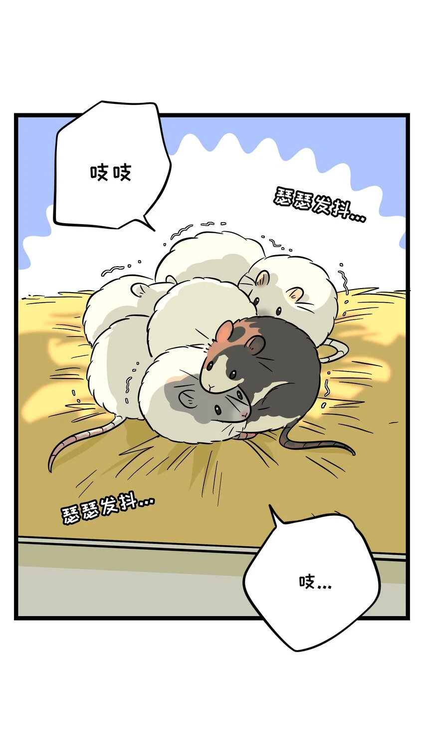 028 后盾2