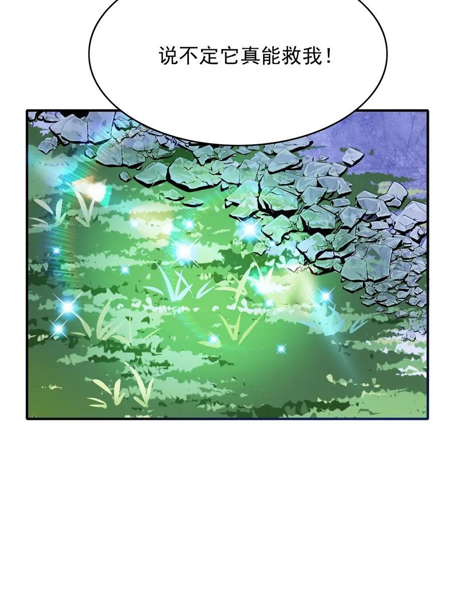 086 路边野草你也采？26