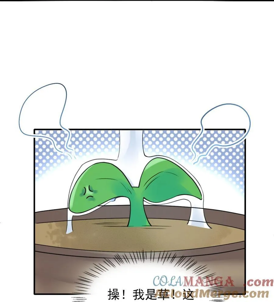 087 牛奶配草21