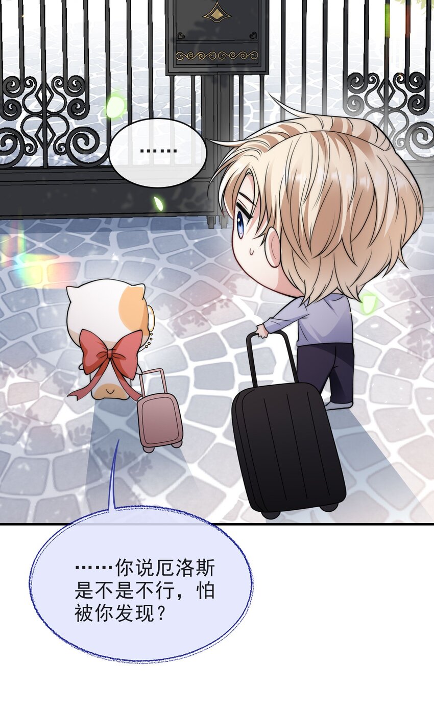 006 大婚10