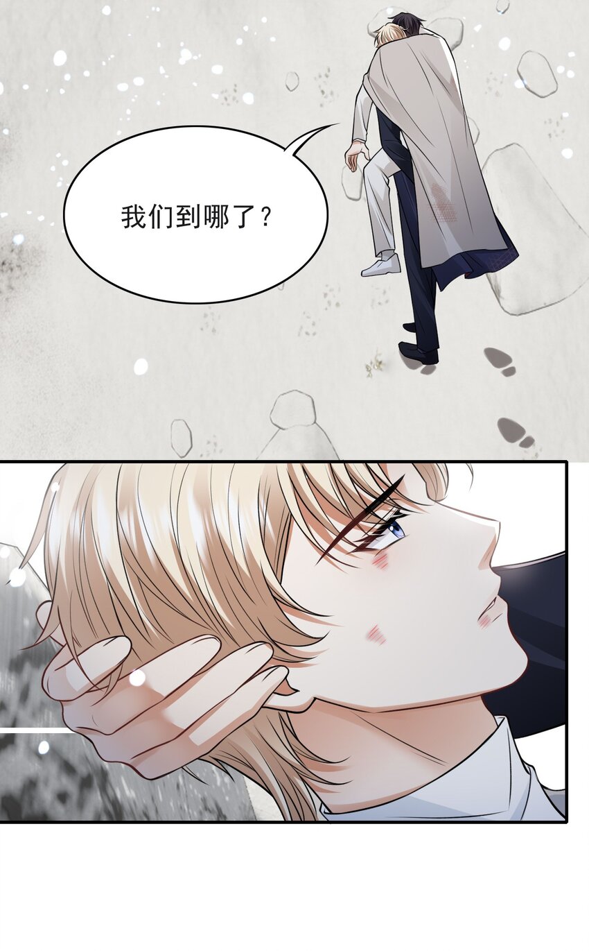 016 不离不弃12