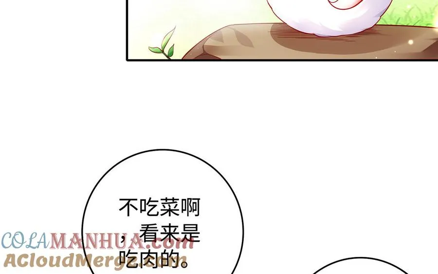 番外 神兽的饲养方式6