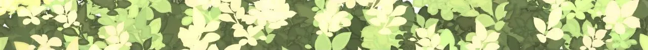 好久不见81