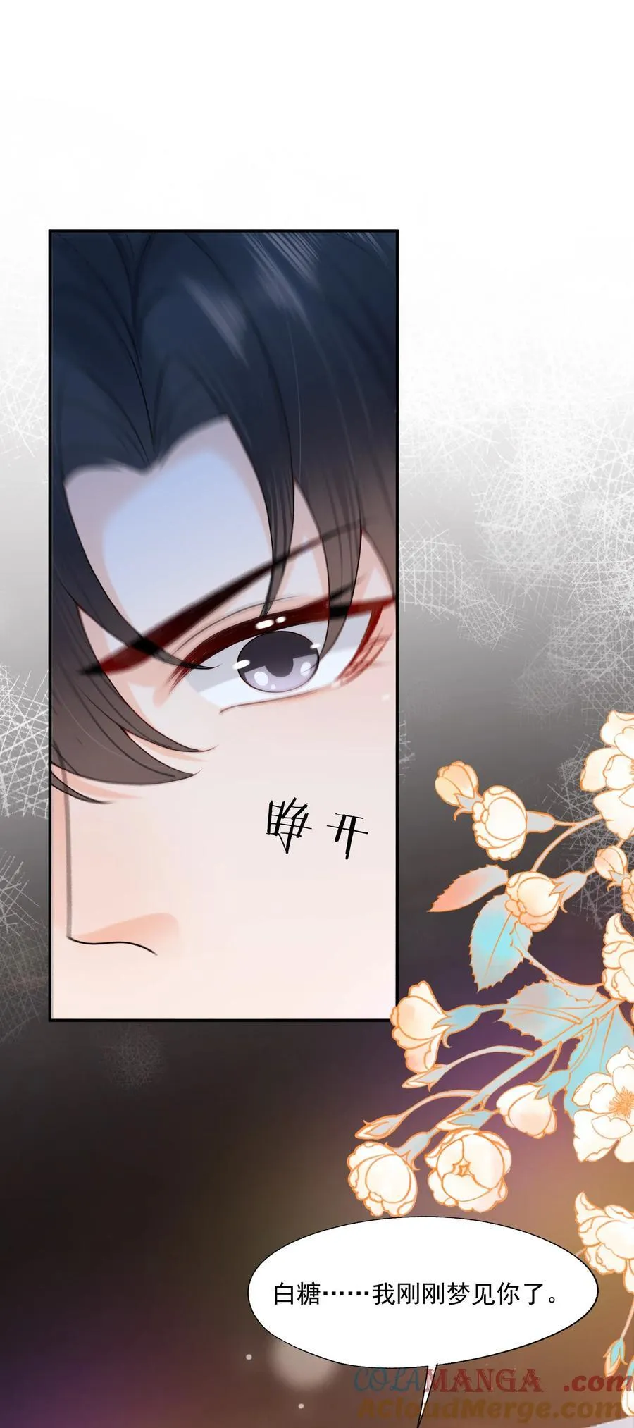 第83话 穿到白糖被渣前38