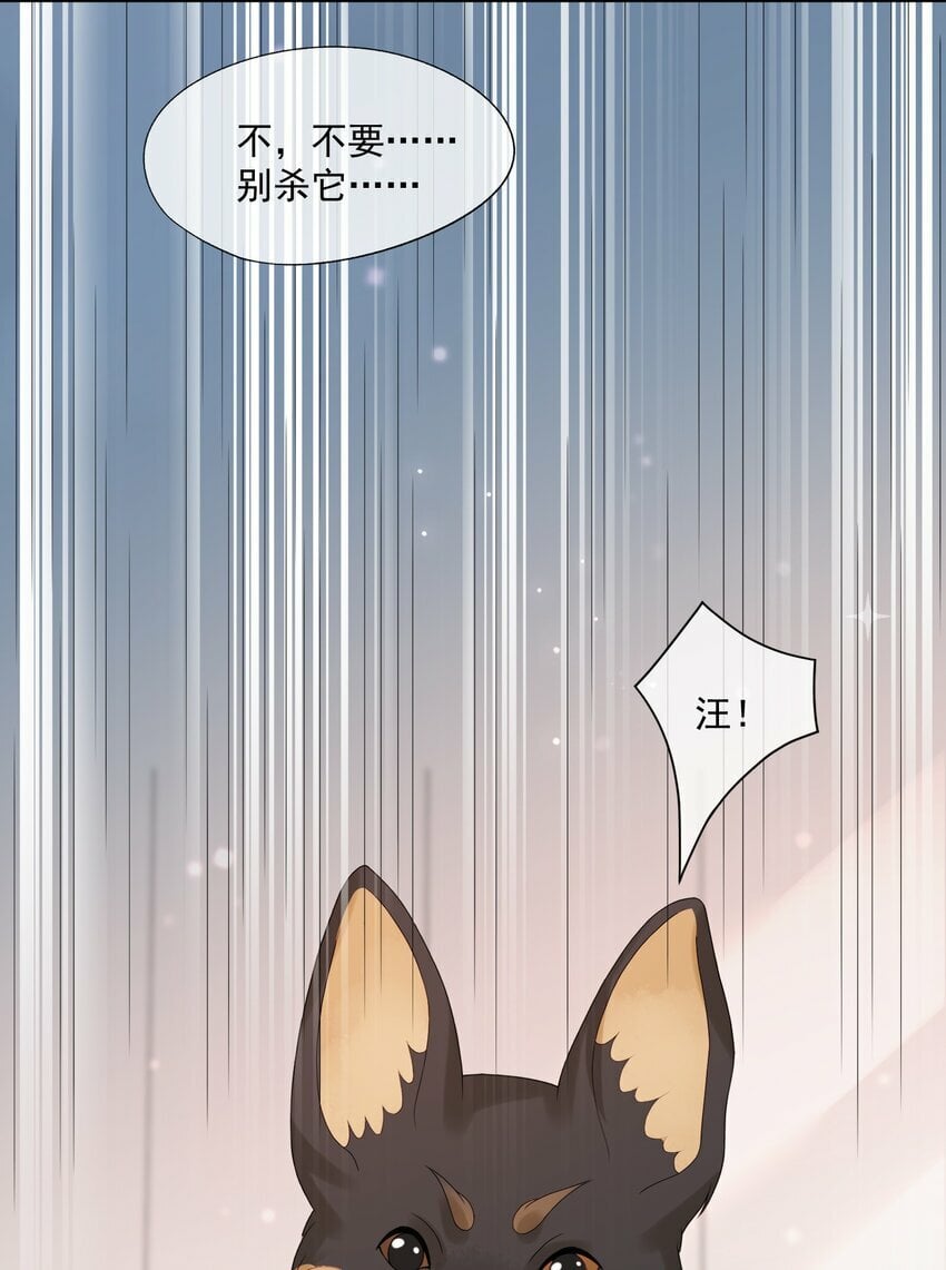 第29话 要做脱敏治疗吗？6