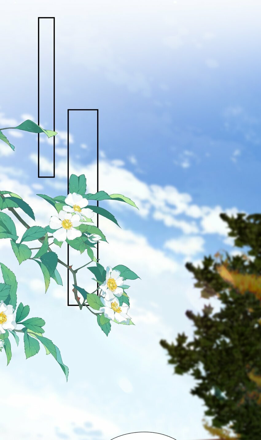 第36话 蒋云苏回来了？12