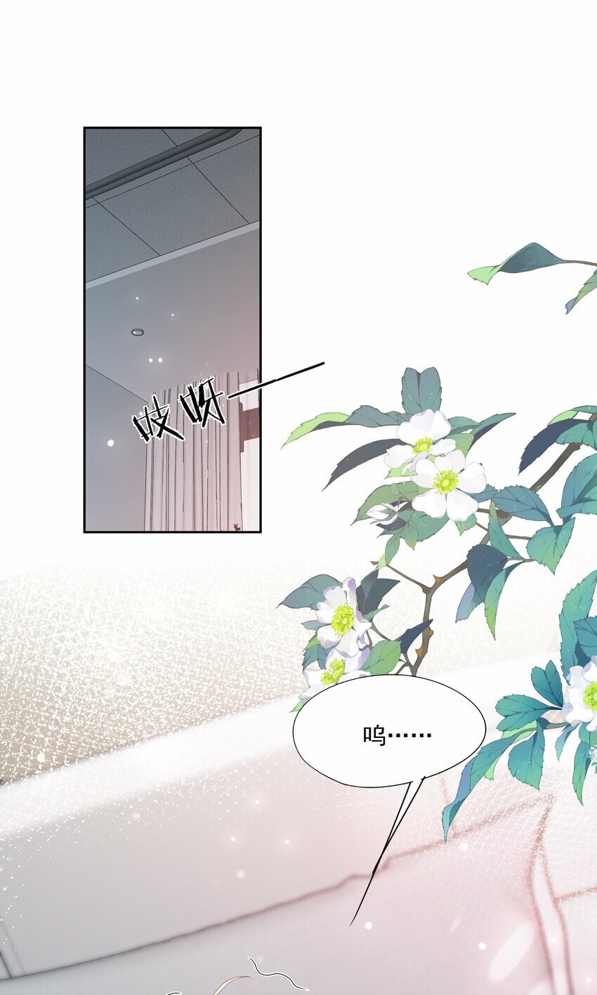 第33话 像小刺猬一样可爱8