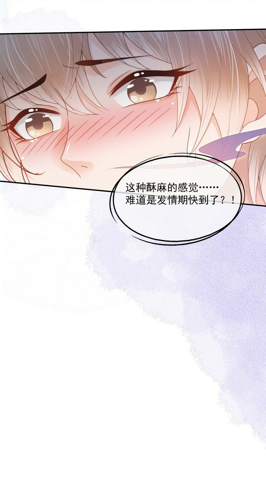 第23话 白糖的发情期17