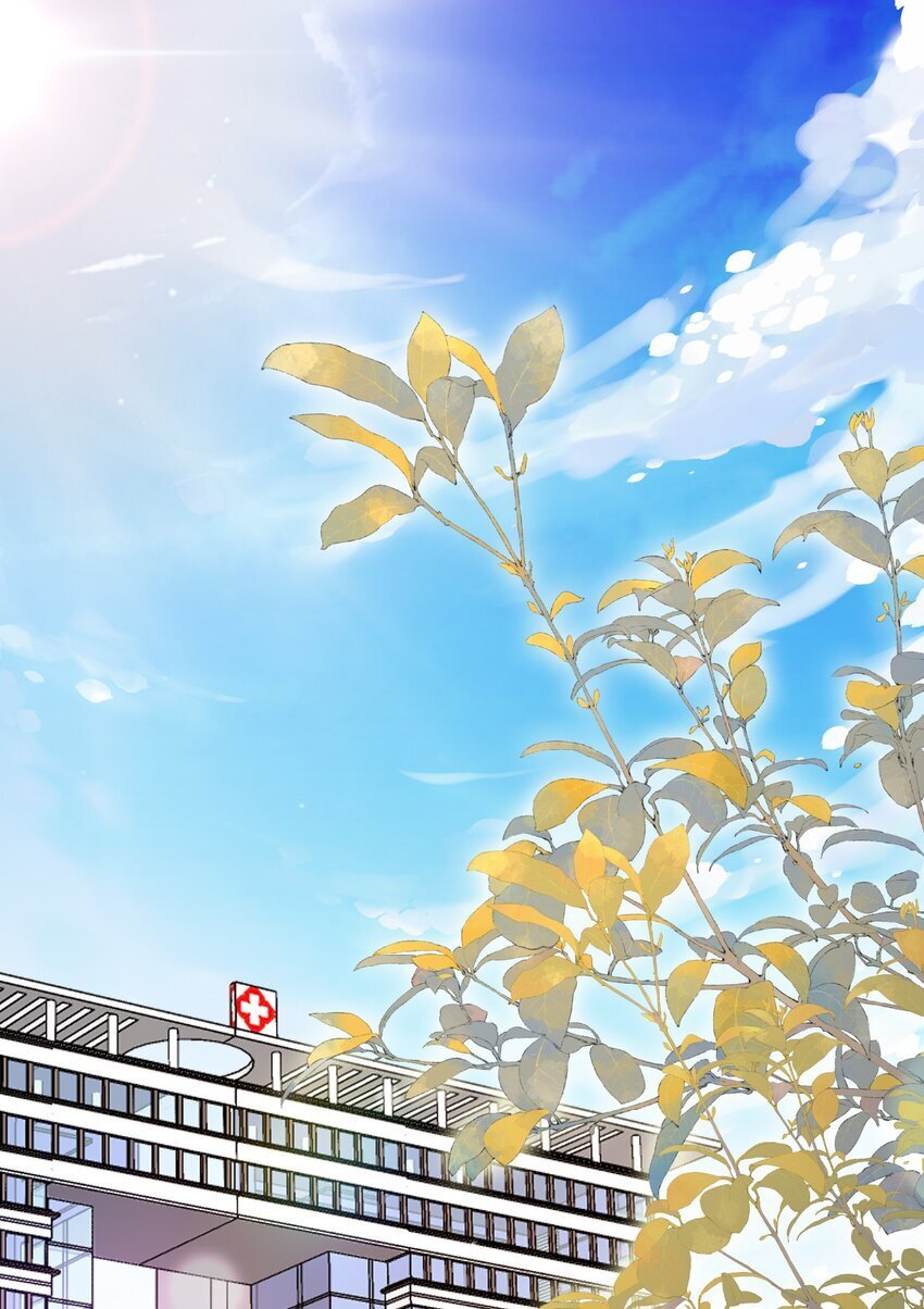 第52话 我会努力养蒋医生的！2