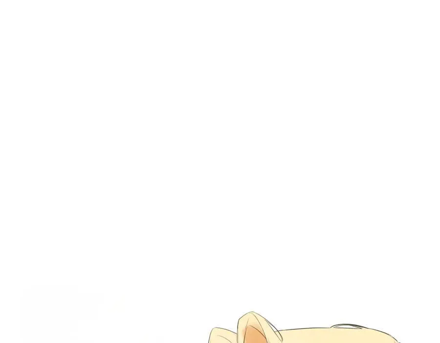 第63话 生日惊喜17