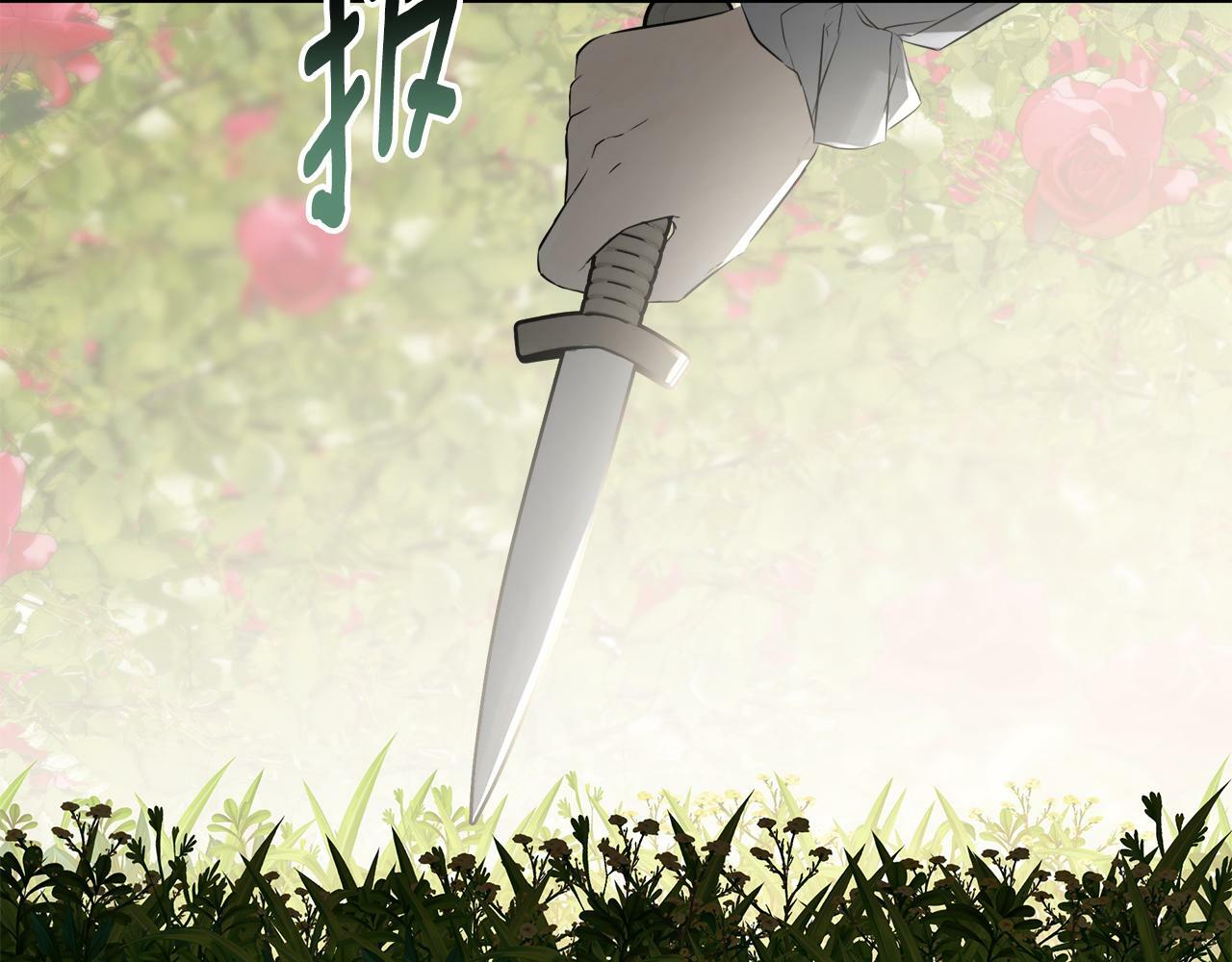 第18话 守护骑士？8