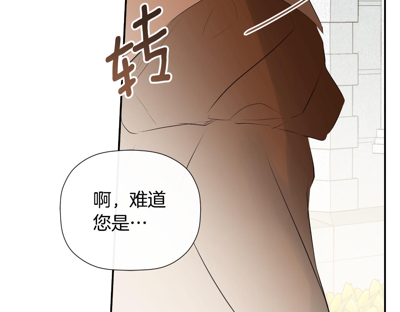 第33话 公爵的伪装111