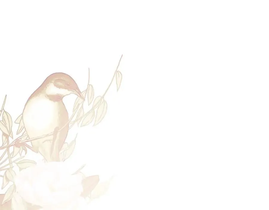 第1季完结篇 摇篮曲201