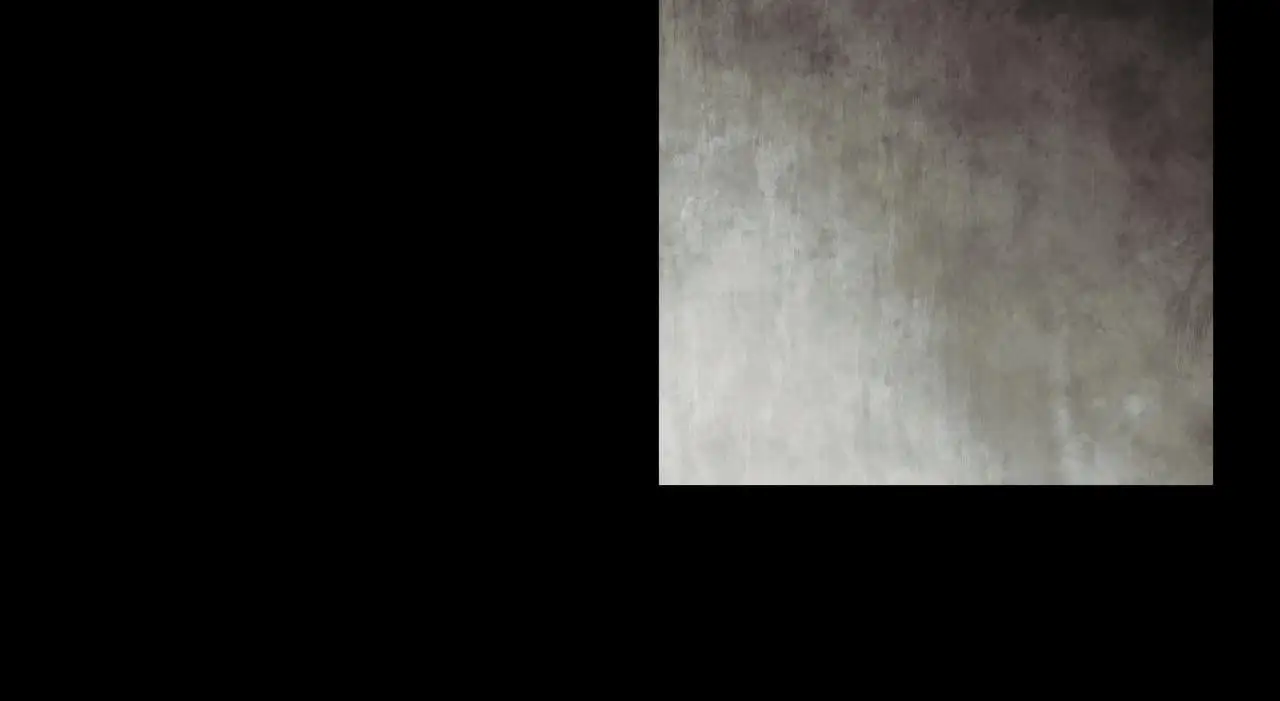 第39话 绝无仅有121