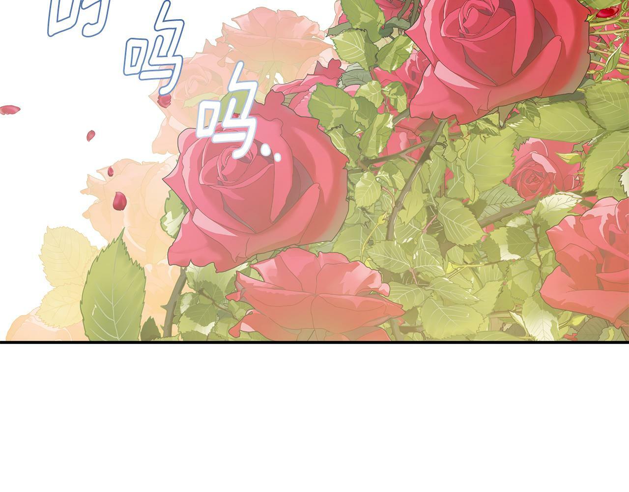 第18话 守护骑士？16