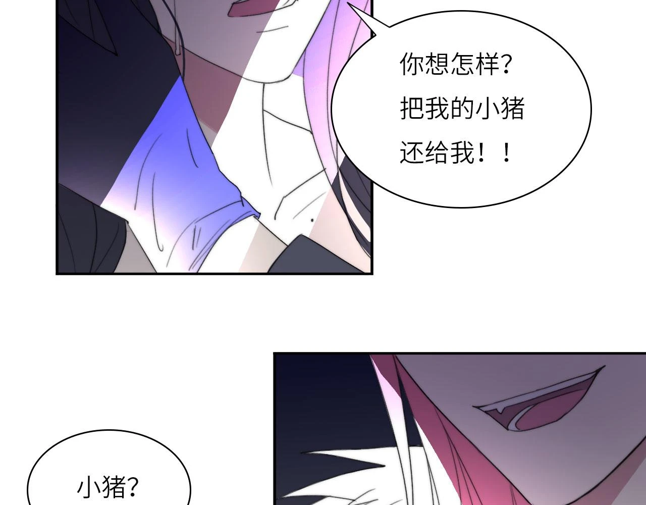 新年特别篇：守护46