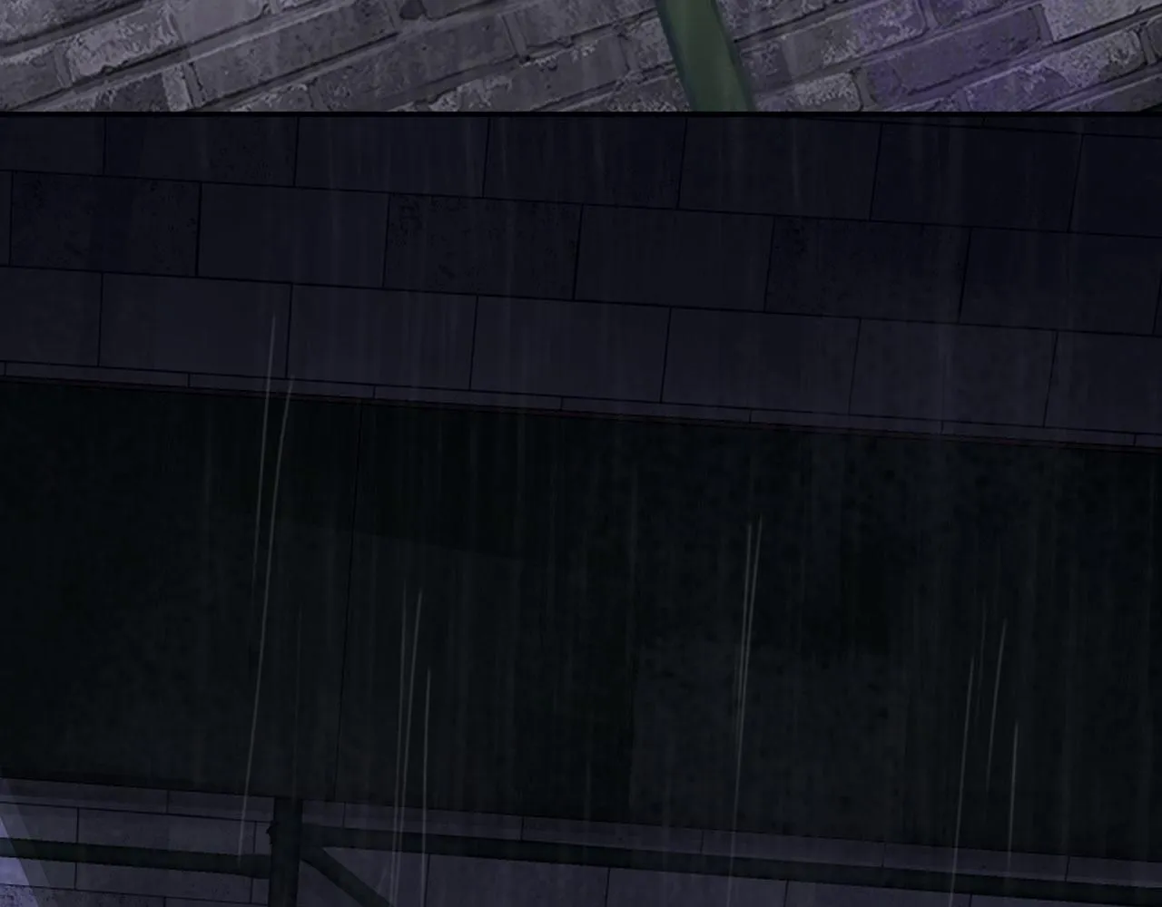 024——雨100