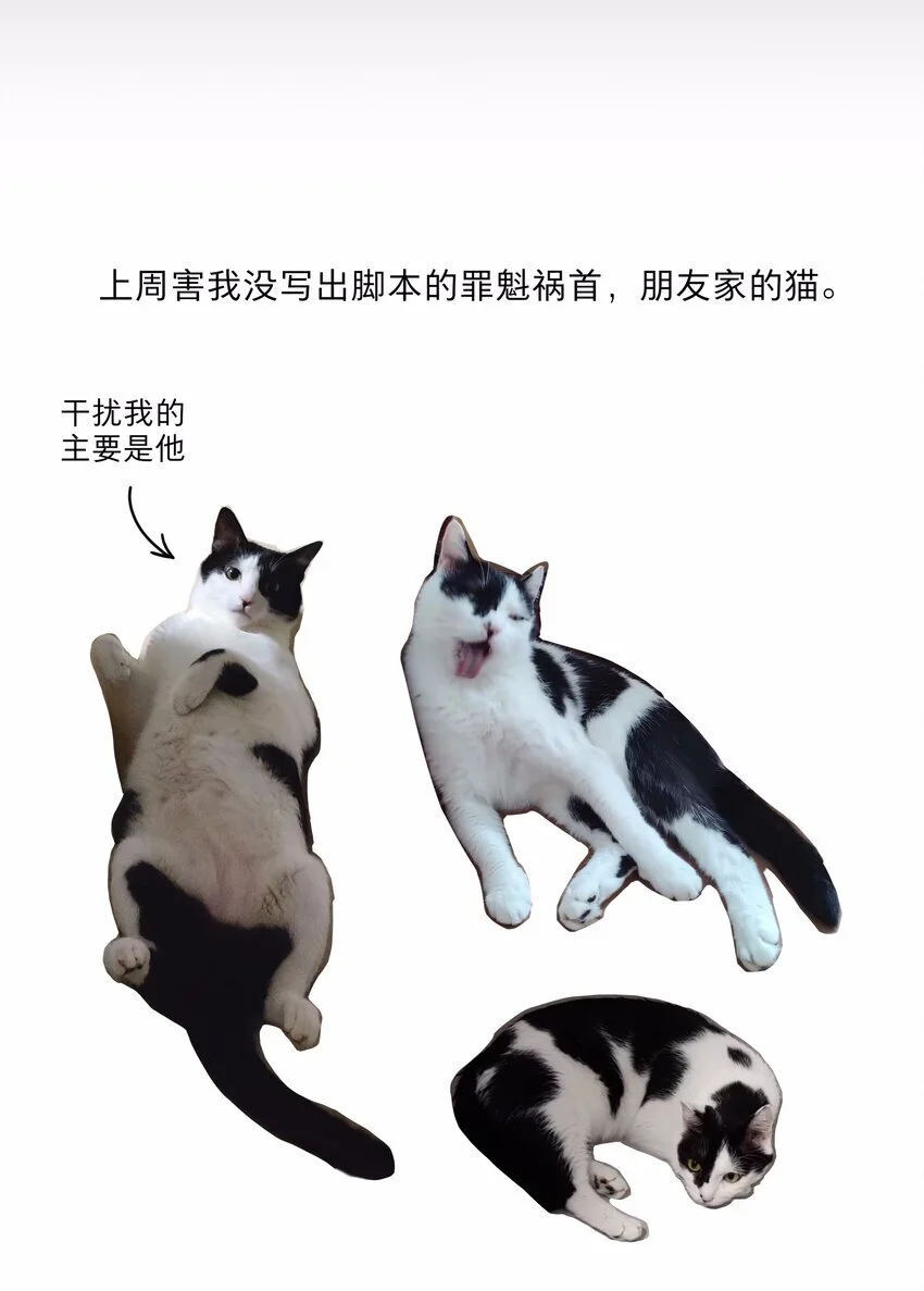 55 不想伤害她30