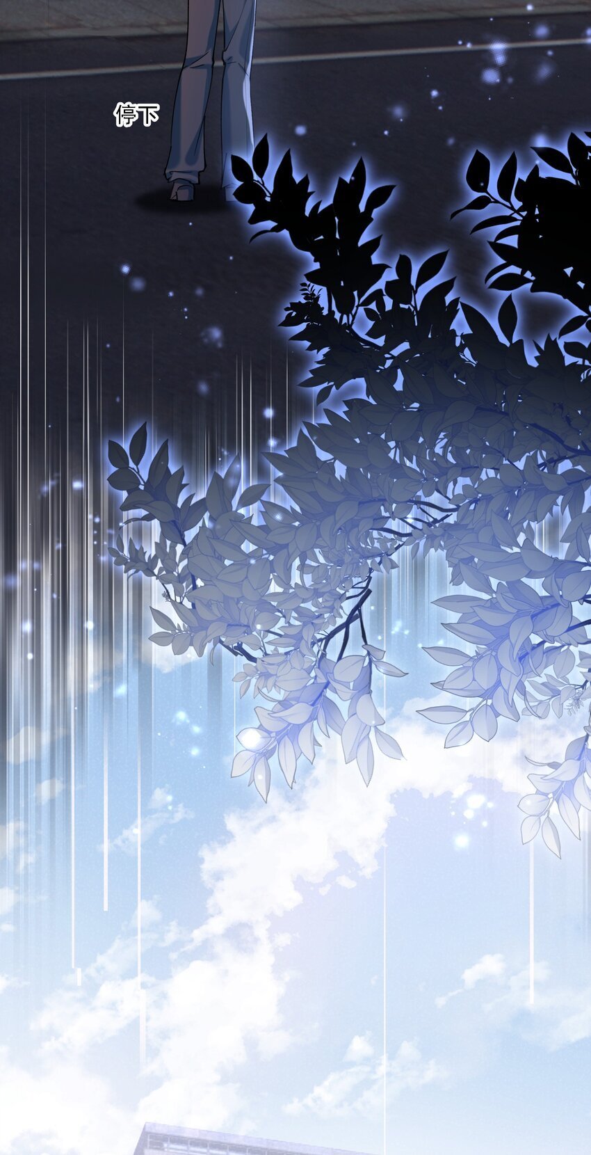 019 一见倾心31