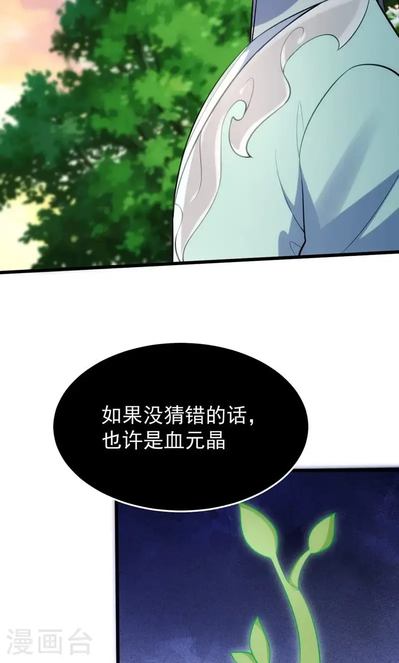 第48话 掌心岛，血元晶35