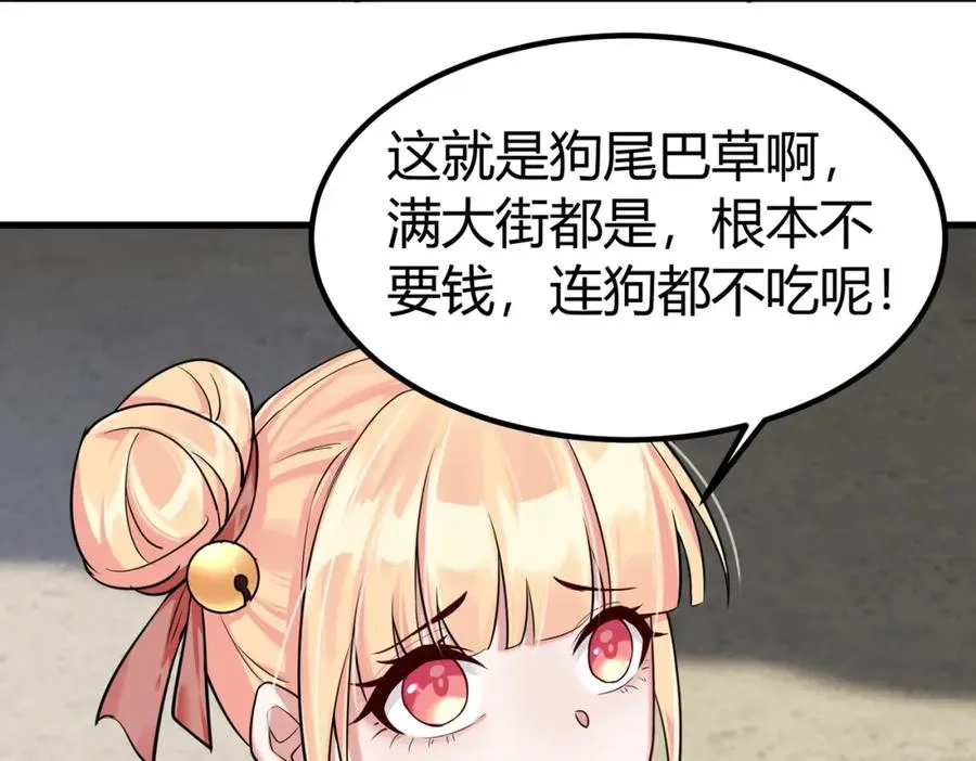 第2话 狗尾巴草？地灵草！13