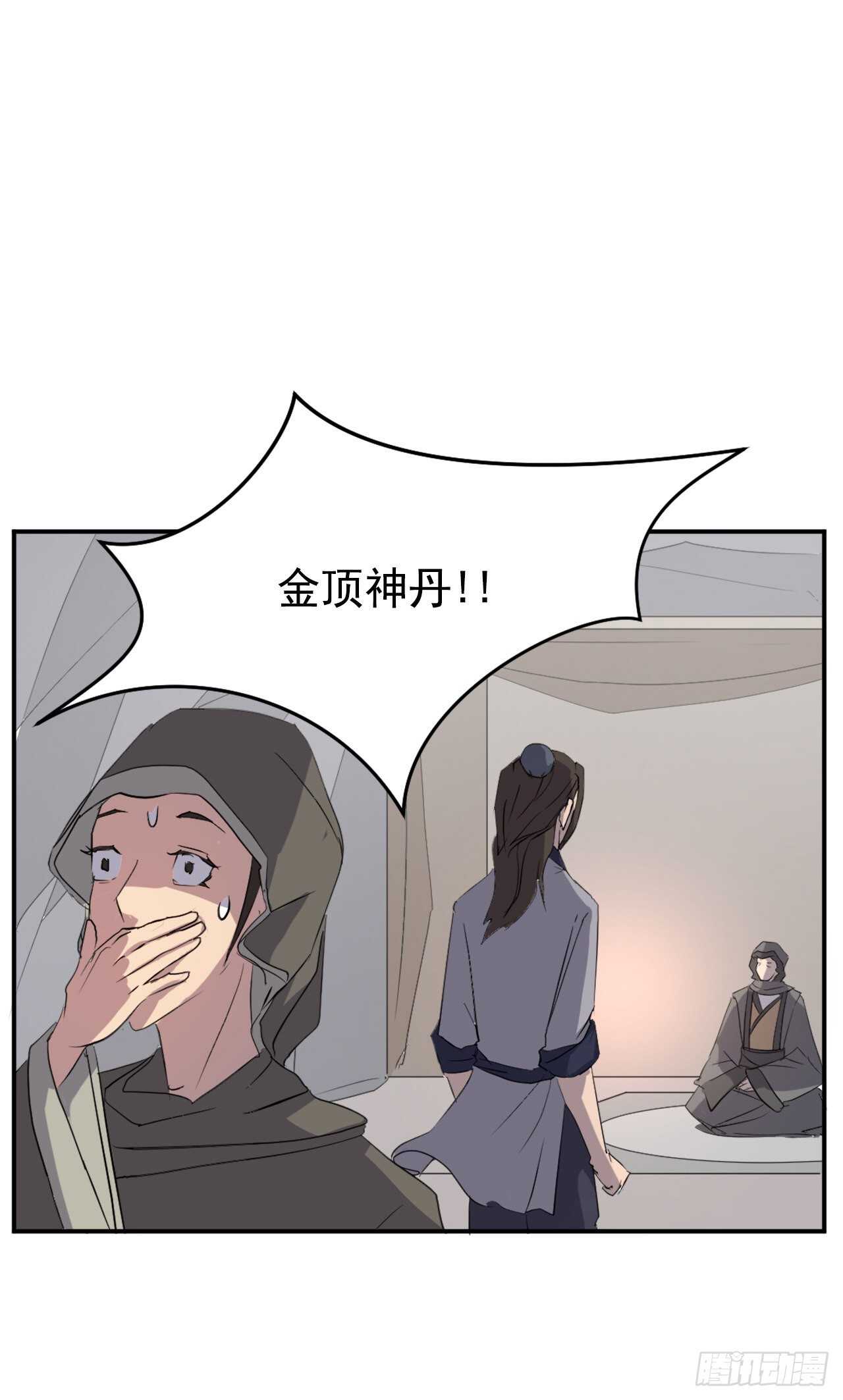29.金顶神丹40