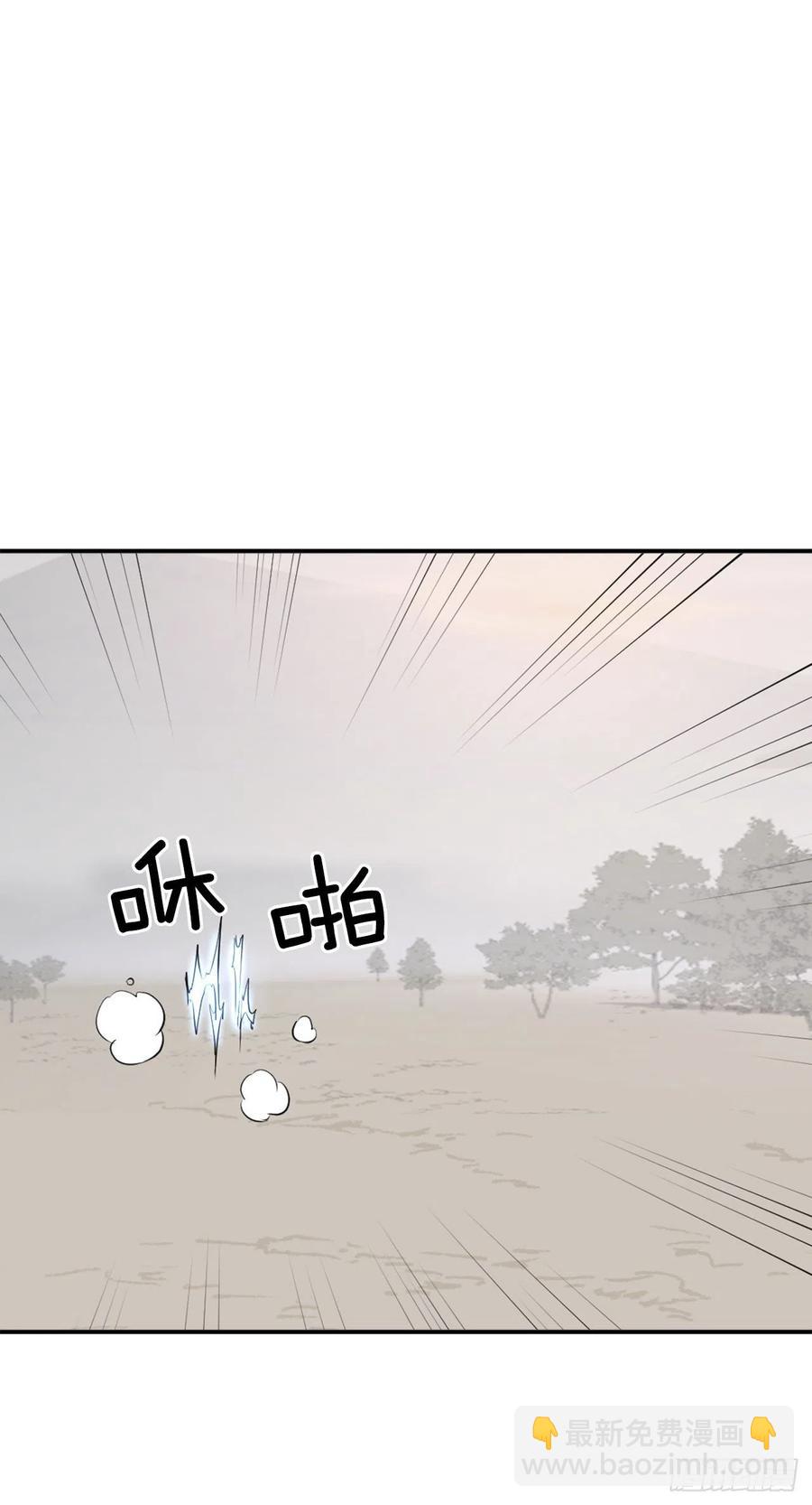 71.药材40