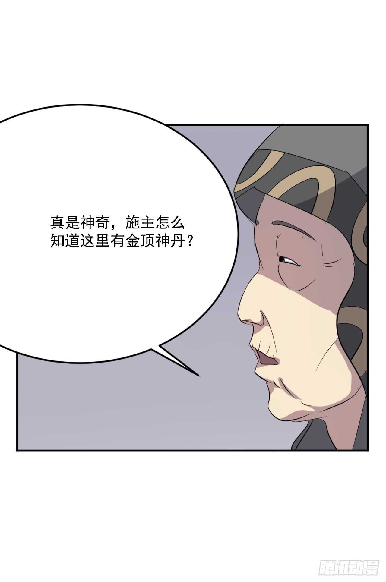29.金顶神丹42
